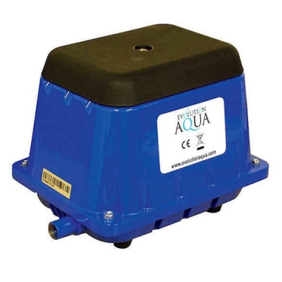 evolution aqua airpump 95